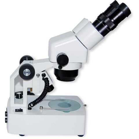 Binocular Microscope ZTX E W